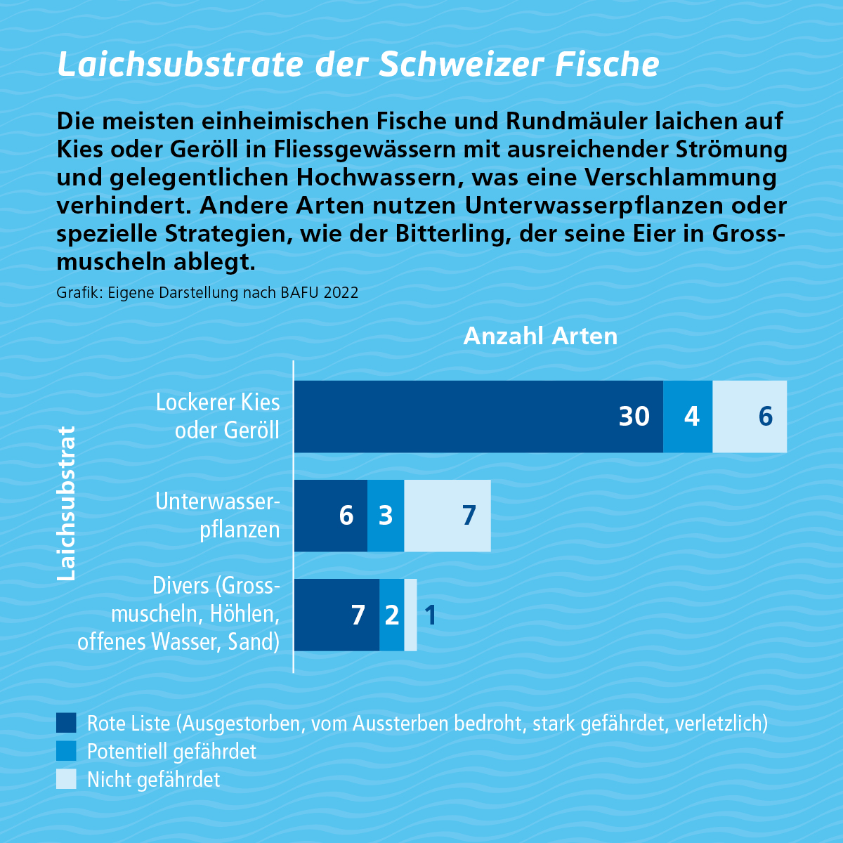 Zeichnung See und Berg